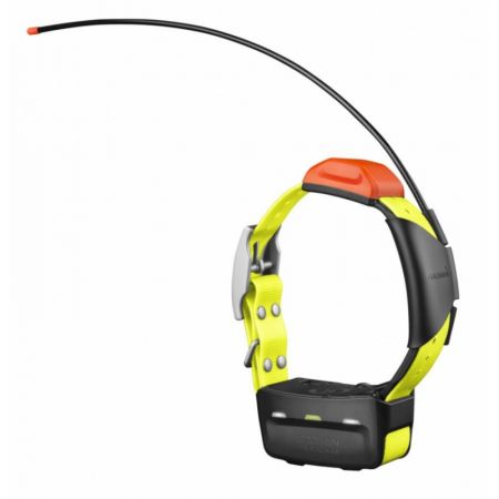 Garmin T 5 psí obojok